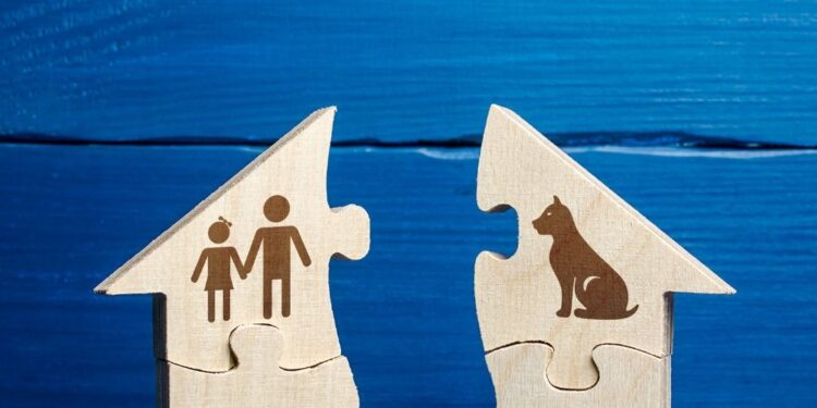 Boşanmadan Sonra Devam Etmenin 8 Yolu