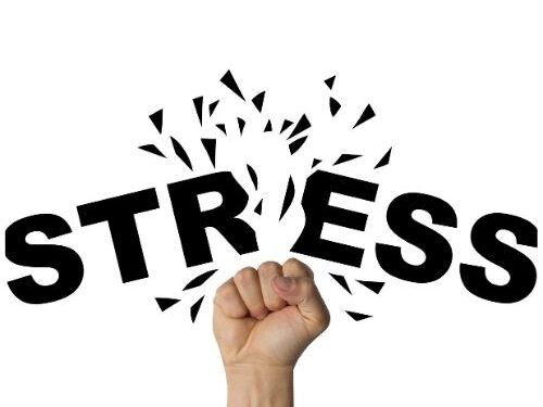 Toksik Stres Nedir? | 2025